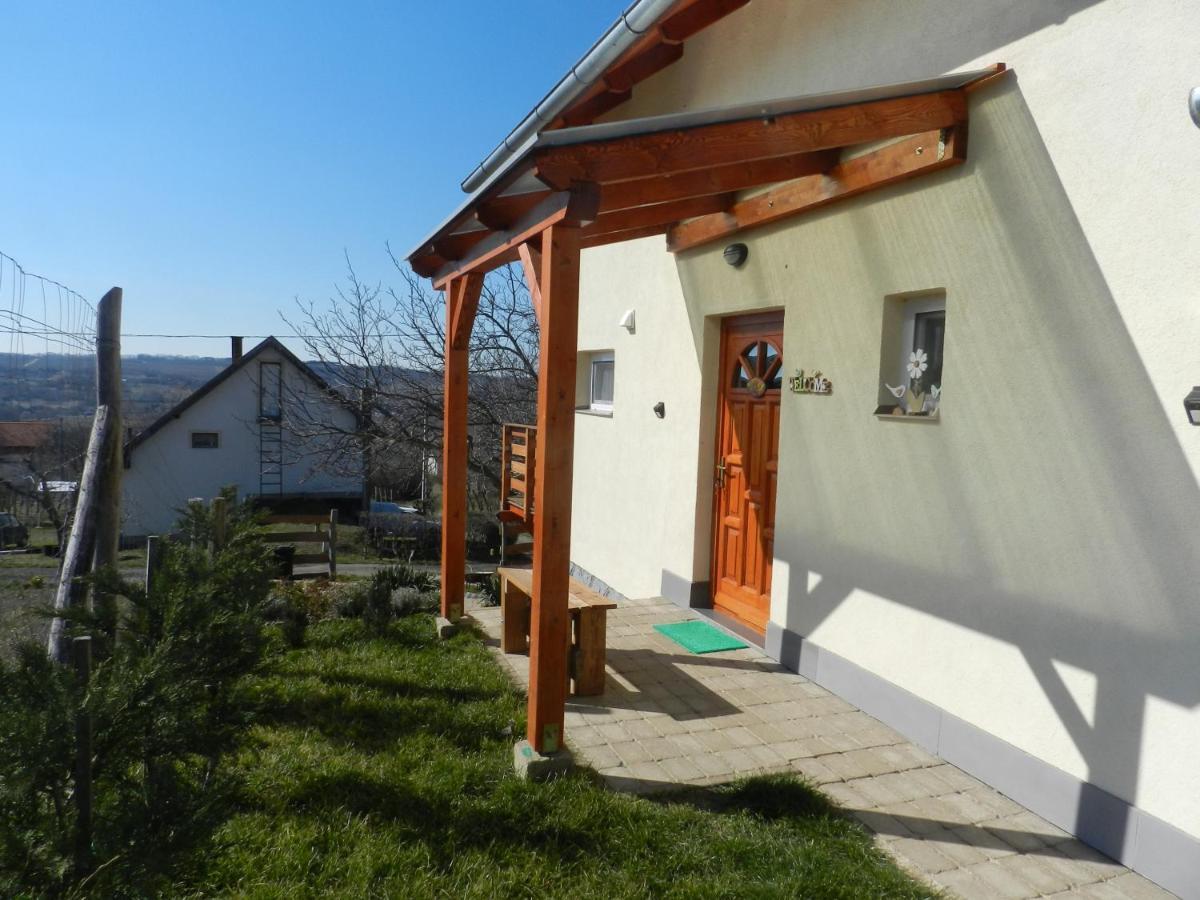 Szamoca Vendeghaz-Koroeshegy Villa Dış mekan fotoğraf
